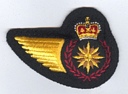 Intelligence Operator badge (111)