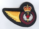 Air Traffic Controller badge (161)