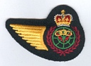 Air Defence Tech badge (171)