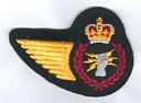 Aerospace Telecommunication and Information Systems Tech badge (226)