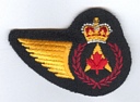 Aerospace Engineer badge (41)
