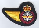 Aero Engine Tech badge (511)