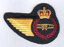 Airframe Tech badge (512)