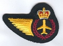 Aviation Systems Tech badge (514)