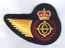 Integral Systems Tech badge (521)