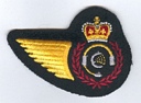 Communication and Radar Systems Tech badge (524)
