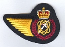 Avionics Systems Tech badge (526)