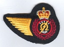 Instrument Electrical Tech badge (551)