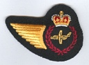 Aircraft Structures Tech badge (565)
