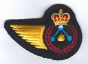 Stationary Engineer badge (623)