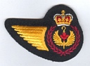 Air Traffic Control Officer badge (63)