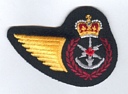 Public Affairs badge (66)