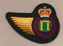 Personnel Administration badge (68)