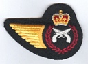Military Police badge (811)
