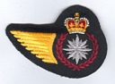 Intelligence badge (82)
