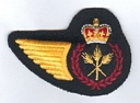Cook badge (861)