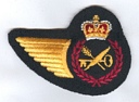 Steward badge (862)