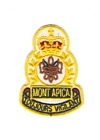 CFS Mont Apica badge