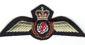 Navigator/Airborne Interceptor/Radio Operator insignia 1957-68