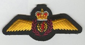 Navigator insignia 1969-85