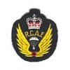 Para Rescue insignia 1953-68