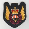 Para Rescue insignia 1969-85