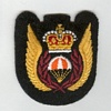 Para Rescue insignia 1986 - 