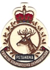CFB Petawawa badge