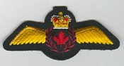 Pilot insignia 1968