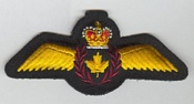 Pilot insignia 1969-85