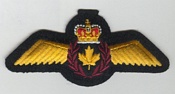 Pilot insignia 1986 -