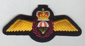 Search and Rescue Technician insignia 1986 -