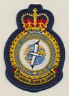 Transport/Rescue Standardization/Evaluation Team badge