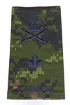 BGen insignia