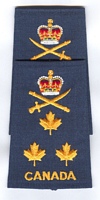 LGen insignia