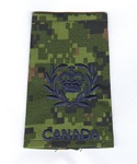 MWO insignia