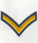 Pte insignia