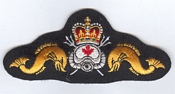 Port Inspection Diver badge
