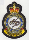 10 Squadron badge