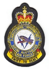 114 Mobile Control & Reporting Unit badge
