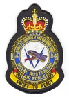 114 Mobile Control & Reporting Unit badge