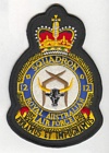 12 Squadron badge