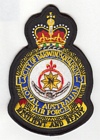 13 (Darwin) Squadron badge