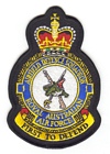 1 Airfield Defence Squadron badge