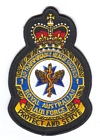 1 Air Transportable Health Squadron badge
