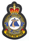 1 Central Ammunition Depot badge