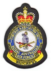 1 Control & Reporting Unit badge