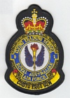 1 Flying Training School badge