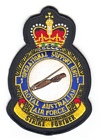 1 Operational Support Unit badge