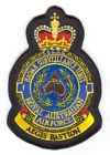 1 Radar Surveillance Unit badge